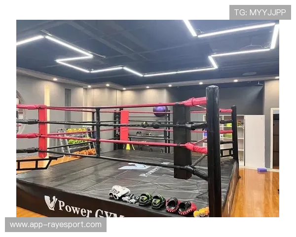 拳击训练成都市青年健身新宠,健身房专项课程需求增长 拳击训练成都市青年健身新宠,健身房专项课程需求增长